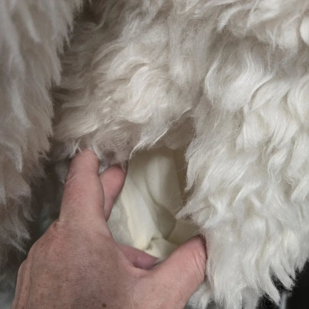 Dylan Los Angeles Faux Fur Shaggy Coat | Cream White | Size Small | NWT - Picture 5 of 10